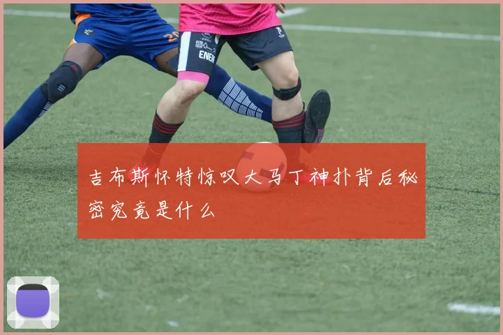 吉布斯怀特惊叹大马丁神扑背后秘密究竟是什么