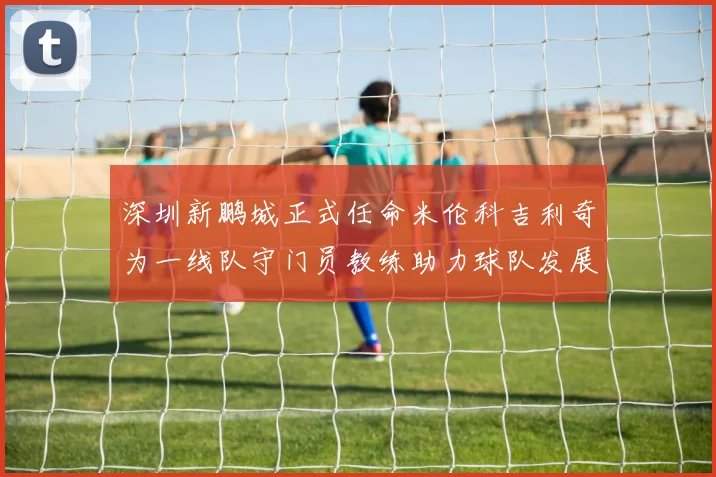 深圳新鹏城正式任命米伦科吉利奇为一线队守门员教练助力球队发展
