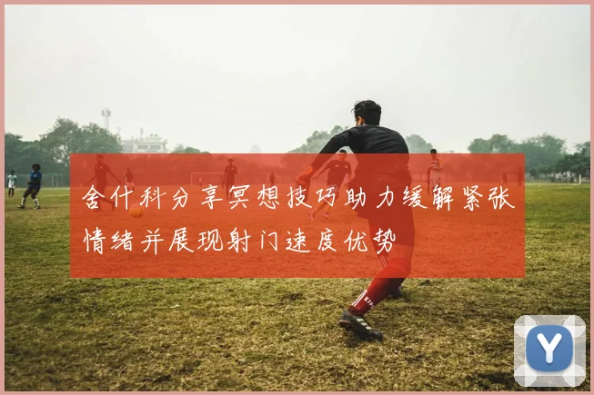 舍什科分享冥想技巧助力缓解紧张情绪并展现射门速度优势